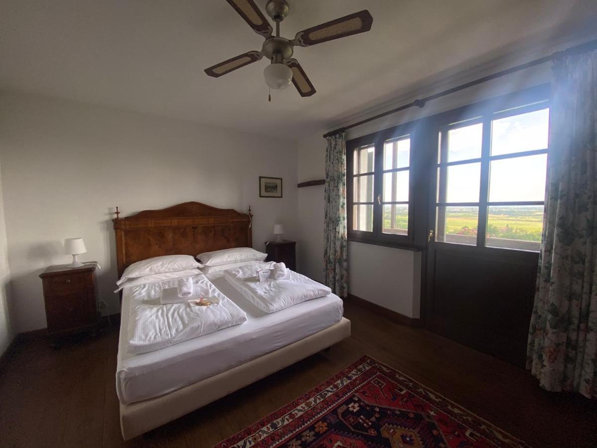 Agriturismo Scacciapensieri Buttrio Екстериор снимка